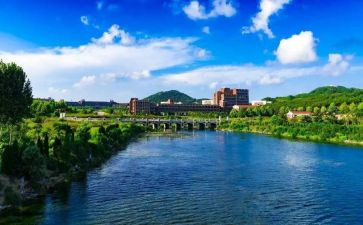 军训大学心得体会1000字7篇