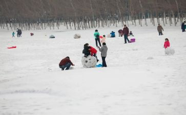 打雪仗作文500字7篇