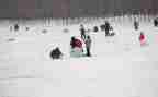 打雪仗作文500字7篇