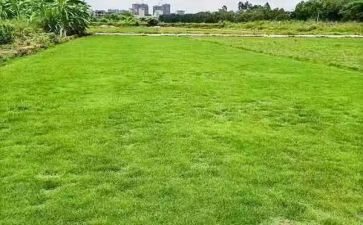 酒店场地租赁合同6篇