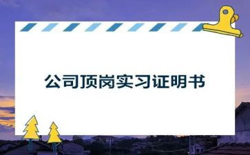 顶岗期的工作总结优秀7篇