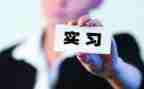 小学顶岗实习心得体会8篇