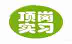 出纳顶岗实习工作报告5篇