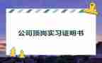 顶岗期的工作总结优秀7篇