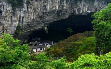 《洞》读后感400字模板7篇