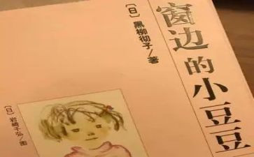 小豆豆读后感500字8篇