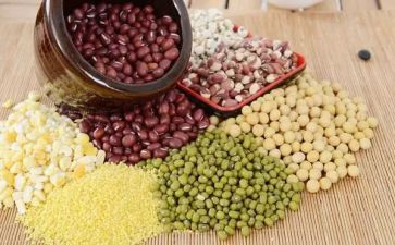 运豆子教案8篇