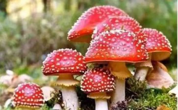 禁毒教育心得体会范文6篇