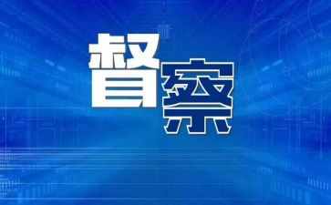 市督查工作总结5篇