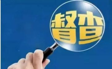 市督查工作总结模板8篇