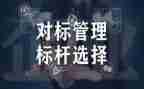 小学对标总结报告最新5篇
