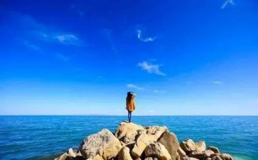 我憧憬的作文6篇