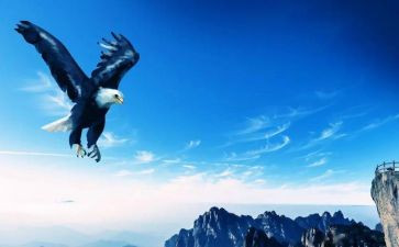 我憧憬的作文精选7篇