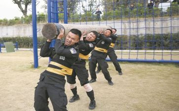 教师队伍工作计划5篇