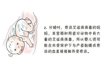 预防艾演讲稿优质6篇