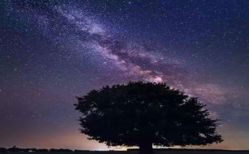繁星春子心得体会6篇