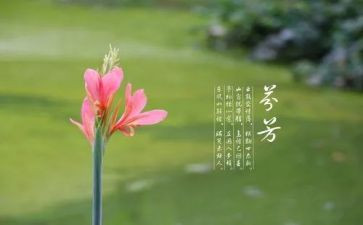 芬芳作文优秀8篇