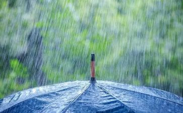 笑对风雨作文800字精选6篇