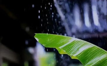 笑对风雨的作文推荐5篇