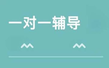 2024年辅导班教师工作计划7篇