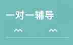 2024年辅导班教师工作计划7篇