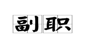 2024年副职述职述廉报告6篇