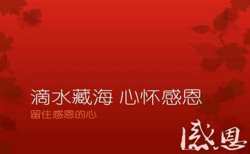 2024年关于感恩的演讲稿推荐7篇