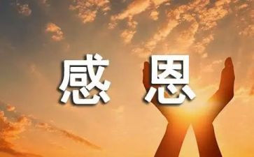 我感恩老师作文600字优秀7篇