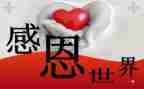 作文感恩300字5篇