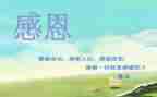 演讲稿感恩的心800字优质8篇