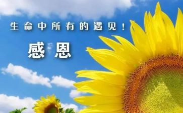 关于我感谢老师的作文7篇