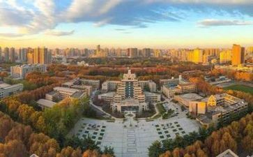 2024高校教师年度总结8篇