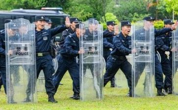 公安个人年度总结5篇