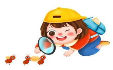 小学生观察作文通用8篇