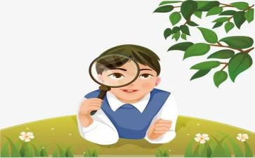 叶的观察的心得体会优秀6篇