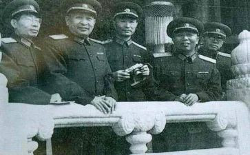 关向应活动方案6篇