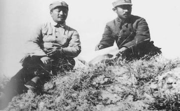关向应活动方案推荐6篇