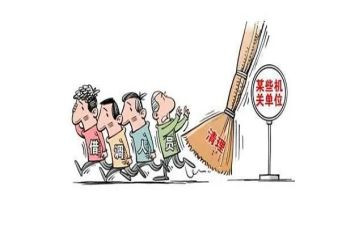 挂职干部工作总结范文5篇