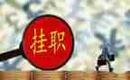 在县挂职工作总结5篇