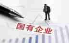 国企试用期工作总结6篇