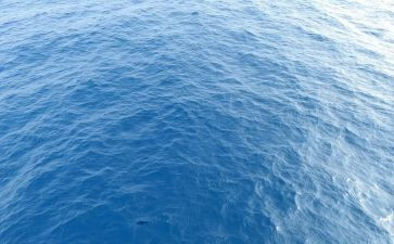 红海电影的观后感5篇