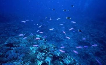 《海底两万里》心得体会7篇