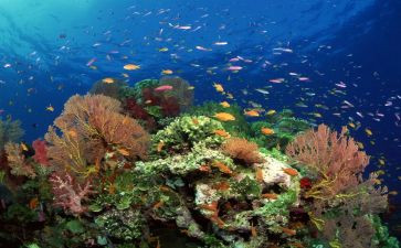 海底的读后感600字模板7篇
