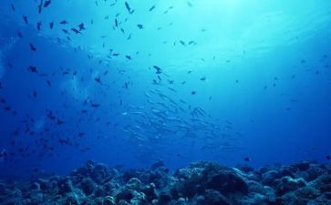 读《海底两万里》心得优质8篇