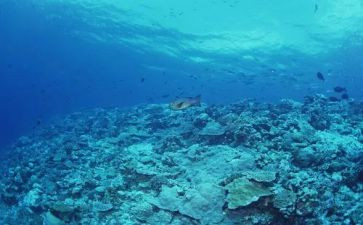 海底读后感800字模板6篇