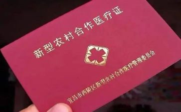 合疗工作个人年终总结及计划推荐6篇
