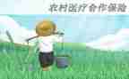 合疗干部工作总结报告7篇