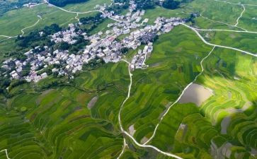 环境问题调查报告8篇