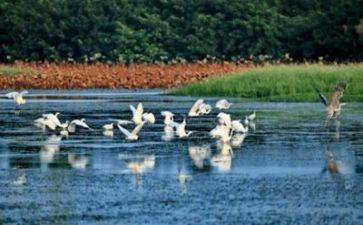 关于环境演讲稿6篇