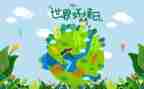 2024年六五环境日活动总结6篇